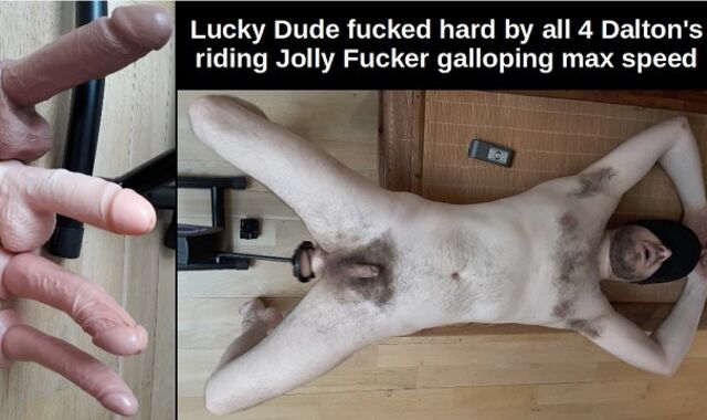 Successful Stud pummeled by all 4 Dalton's riding Jolly Fucker galloping max speed