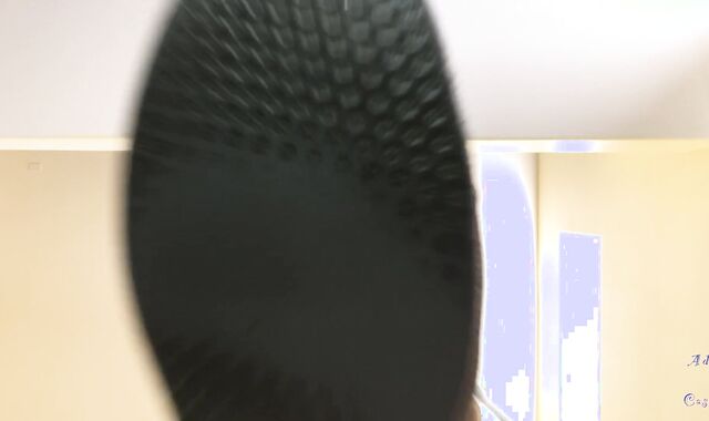 Phat Adam Doms Lil'' Late Renter