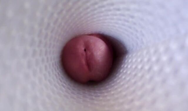 vista interna di un Fleshlight