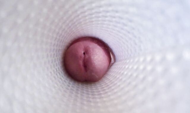 vista interna di un Fleshlight