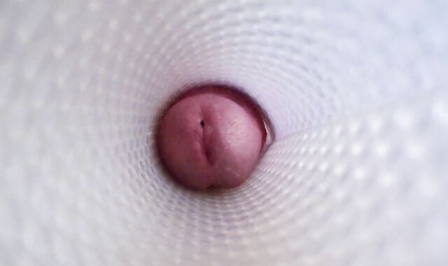 vista interna di un Fleshlight