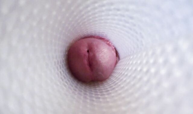 vista interna di un Fleshlight