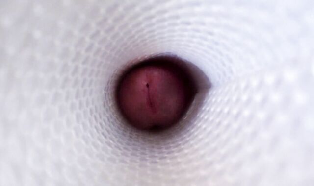 vista interna di un Fleshlight