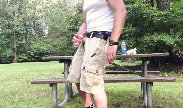 Milking in the public park next to the busy road.