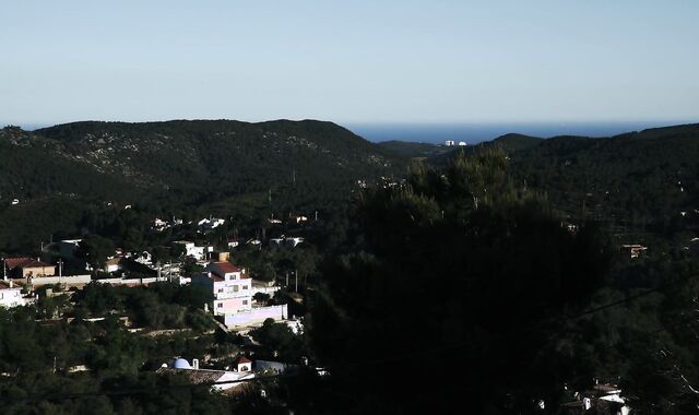 Tomas Brand Slams Andrea Suarez’s Butt