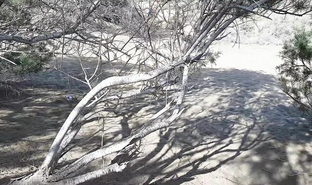 Gran Canaria - Public fun on the beach and Dunes - Caught a slew of of times