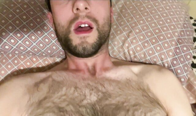 Furry bear close-up nutting on himself