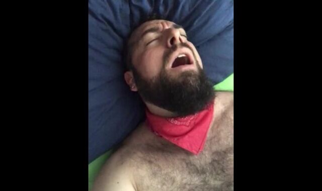 Meaty bearded and wool frosted wolf stroking kneading the bed sheet on his rock-rock-hard and moist stiff-on. Killer Anguish
