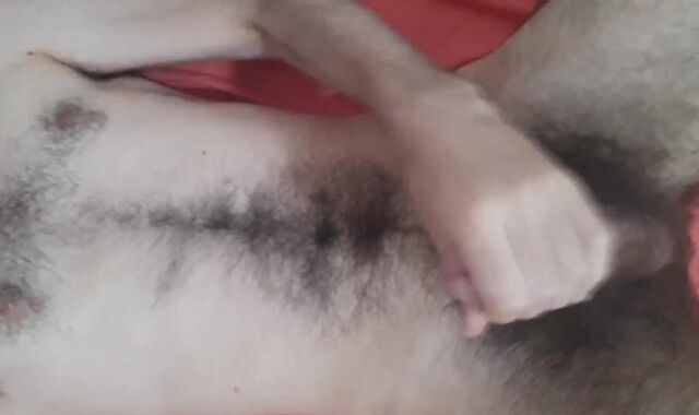 Laid back bear jacking, shooting jizz on hairy abdomen and torso