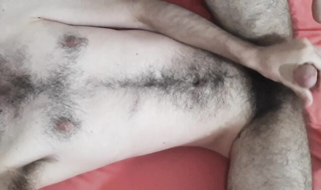 Laid back bear jacking, shooting jizz on hairy abdomen and torso