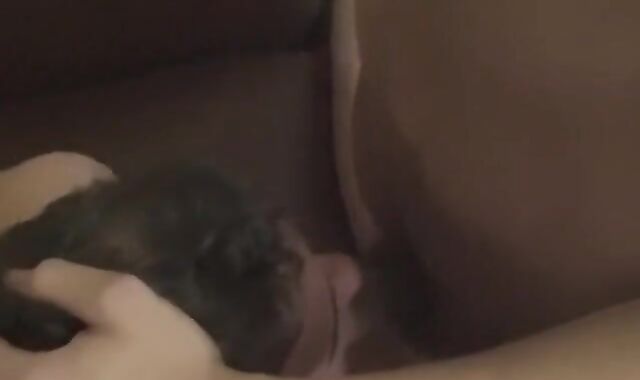 Twink showcases his bj skills on his lover and playthings him