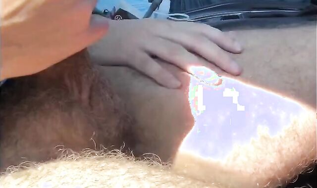 two Buds Tugging in the Truck