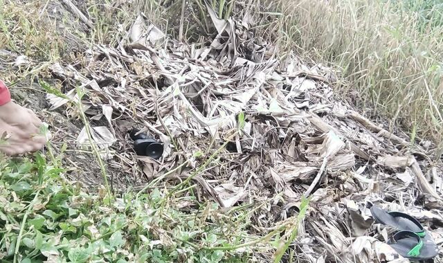 Hetero man's hidden dream Jungle plumb