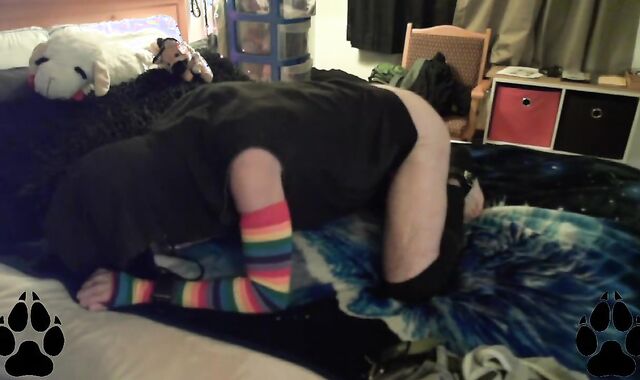 Caged Pup is Pent Up