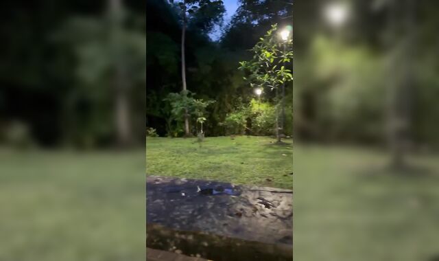 Cruising pulverizing in public without love glove makes me gargle man meat and cum inside Colombian inward cum-shot