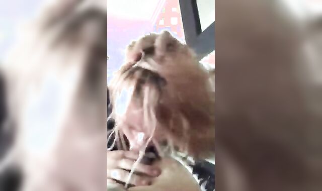 Supah-Uber-Cute puppy ac/dc-atch deep throats his daddy's pecker till he finishes off