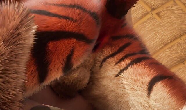 Hefty Tiger Shoots A Explosion Inside Youngster Dude w/ Inner Climax (Wool Facialed Homo Hook-Up) | Supah-Insatiable Life Furries