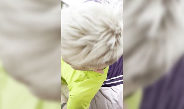 Supah-Shagging-Steaming lovely teenager twunks 3 way sans a protection fucky-fucky in a country mansion