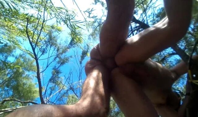 Drilled in the dunes of the Bay of Pigs