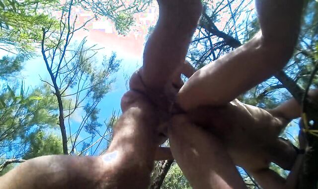 Drilled in the dunes of the Bay of Pigs