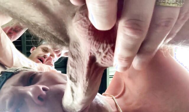 3 Way Fun: Cory & Jared Meet Chad Hit (Homowithahammer)