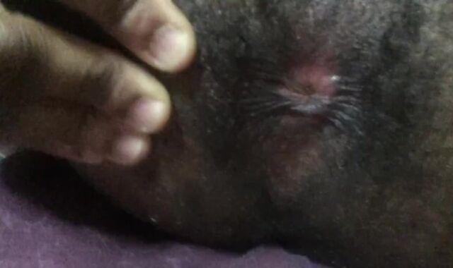 WOOL DECORATED PINK FUCKHOLE