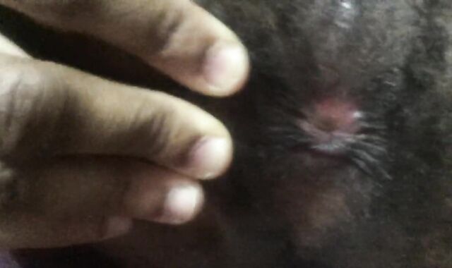 WOOL DECORATED PINK FUCKHOLE