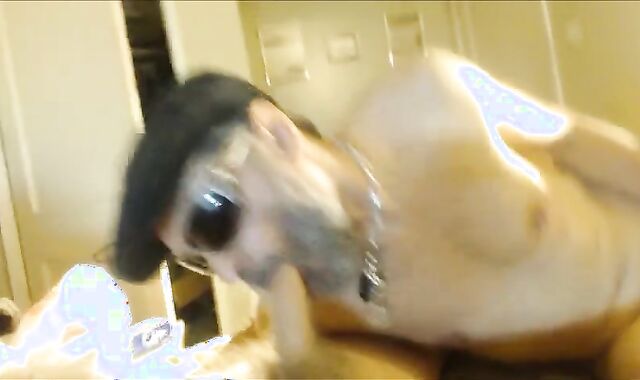 Nipster X - Barebacking a bearded whore