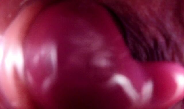 Internal Ass-Fuck Intrusion Glance Meaty Bad Dragon Rex Fucks My Rump And Shoots A Load