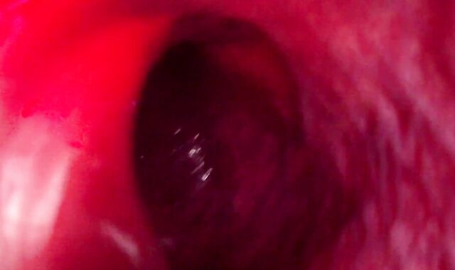 Internal Ass-Fuck Intrusion Glance Meaty Bad Dragon Rex Fucks My Rump And Shoots A Load