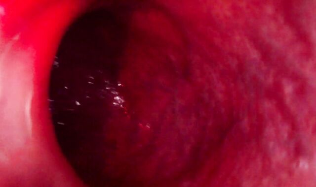 Internal Ass-Fuck Intrusion Glance Meaty Bad Dragon Rex Fucks My Rump And Shoots A Load