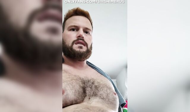 Otters Plowing in the kitchen