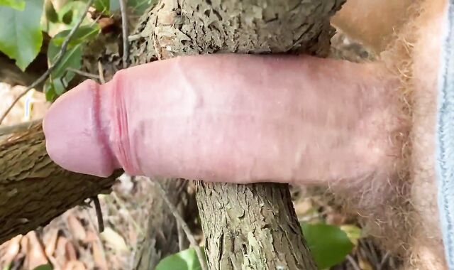 Inspecting the Nature - Taking A Chance it on a Forest Path