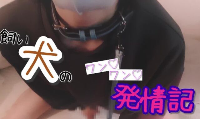 "Woof ♡ Woof ♡" estrus of a pet dog clad in a sweatshirt