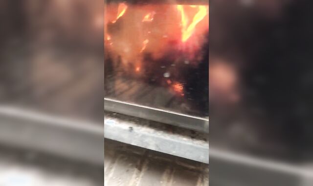 Crazy fellow alone in the wilderness chops weenie and rockets his cum by the fire