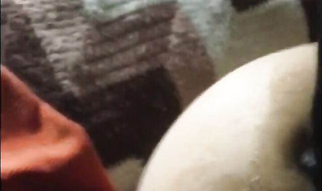 Fake-Sausage pig compilation