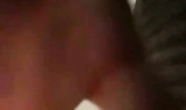 Steaming self piss on the couch! So luxurious!!