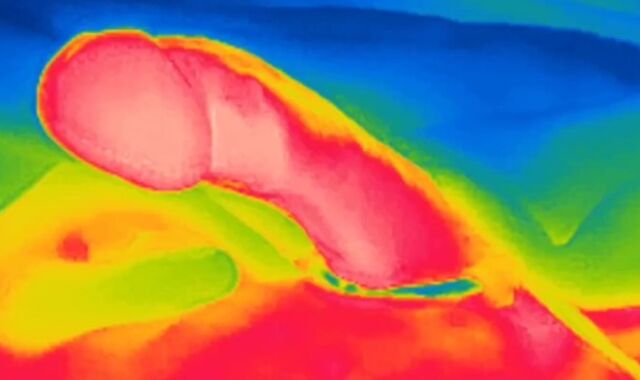 Thermal camera swelling, perceive the fever of my manstick and observe the white super-fucking-hot jizm