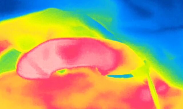 Thermal camera swelling, perceive the fever of my manstick and observe the white super-fucking-hot jizm