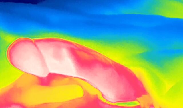 Thermal camera swelling, perceive the fever of my manstick and observe the white super-fucking-hot jizm