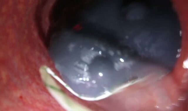 Internal Sight Bad Dragon Jizm