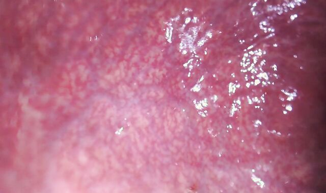 Internal Sight Bad Dragon Jizm