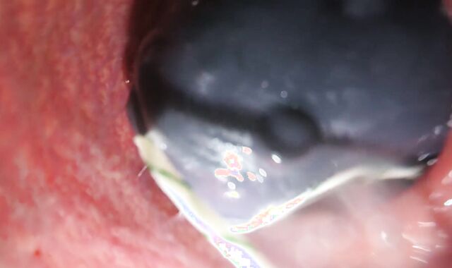 Internal Sight Bad Dragon Jizm