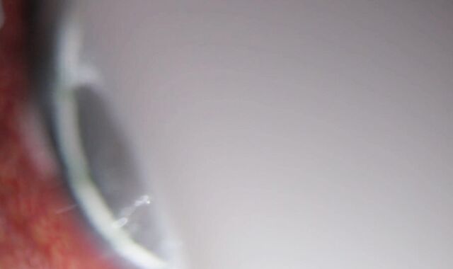 Internal Sight Bad Dragon Jizm