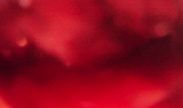 Internal Sight Bad Dragon Jizm