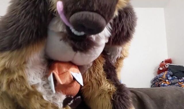 Disciplining a Bitchy Fox