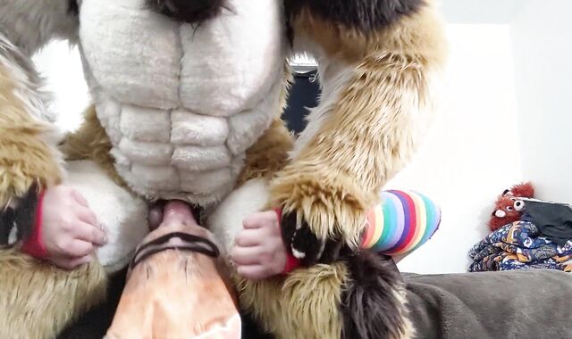 Disciplining a Bitchy Fox