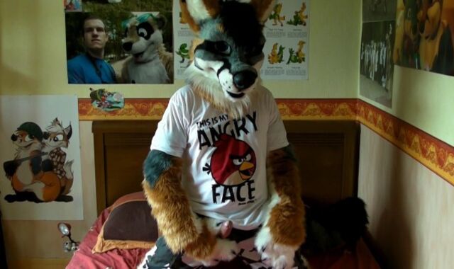 Highly Very First time kneading in my new Repo fursuit