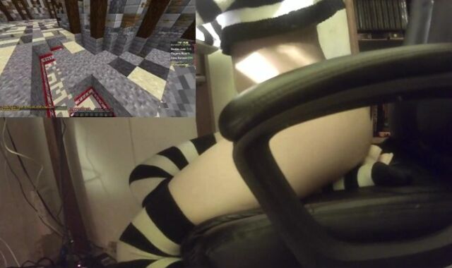 Riding a fake-trunk until I can strike a game of Minecraft TNT Run