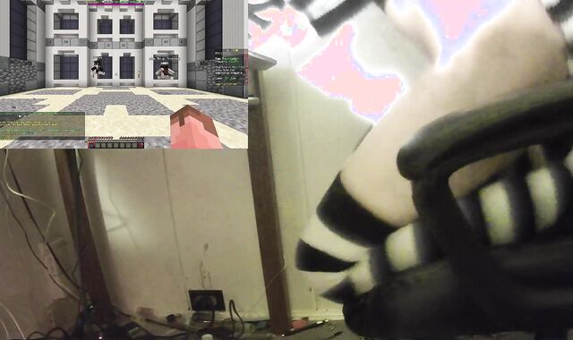 Riding a fake-trunk until I can strike a game of Minecraft TNT Run